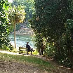 Waikato River walk