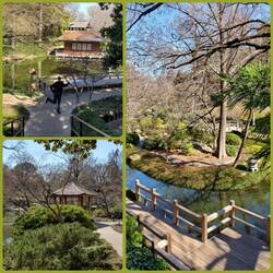 Fort Worth Japanese Garden