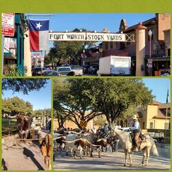 Fort Worth Stockyards