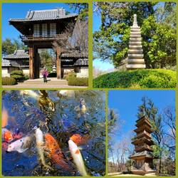 Fort Worth Japanese Garden