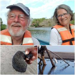 Im Strandsand viele Magnetitteile die man mittels Magnet aussondern kann