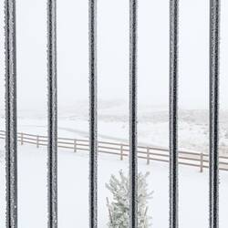 Deck railing — Colorado Springs, CO.