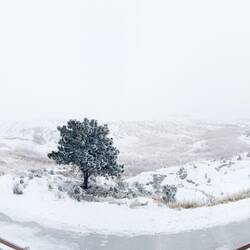 We don't get fog too often, but when we do ... it's a doozy — Colorado Springs, CO.