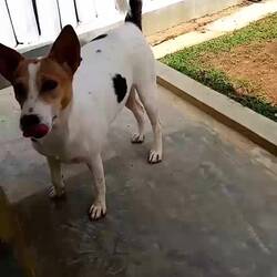 In der Teen Area 🐶🥎