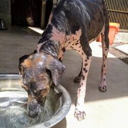 Unser Liebling Purple Rain wird von Tag zu Tag stärker 💕
