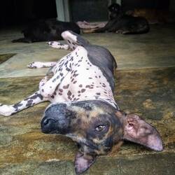 Süßer Purple Rain 😍💜