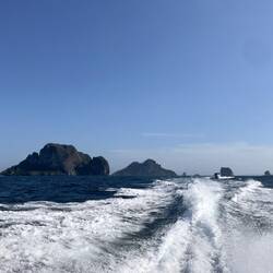 Fast wieder zurück...