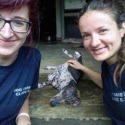 Abschied von Purple Rain 😢💜