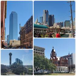 Dallas city views