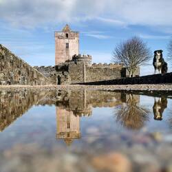 Photo at Doe by James O'Donnell