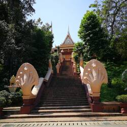 Der Wat Phnom, auf dem höchsten Hügel der Stadt (27m 😉)