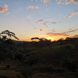 Breakfast with sunrise view (plus green parrots again)