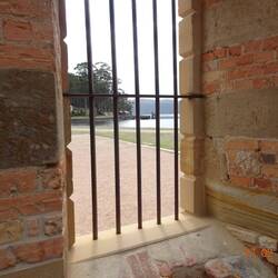 Looking Out