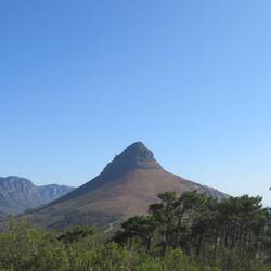 Lion's Head