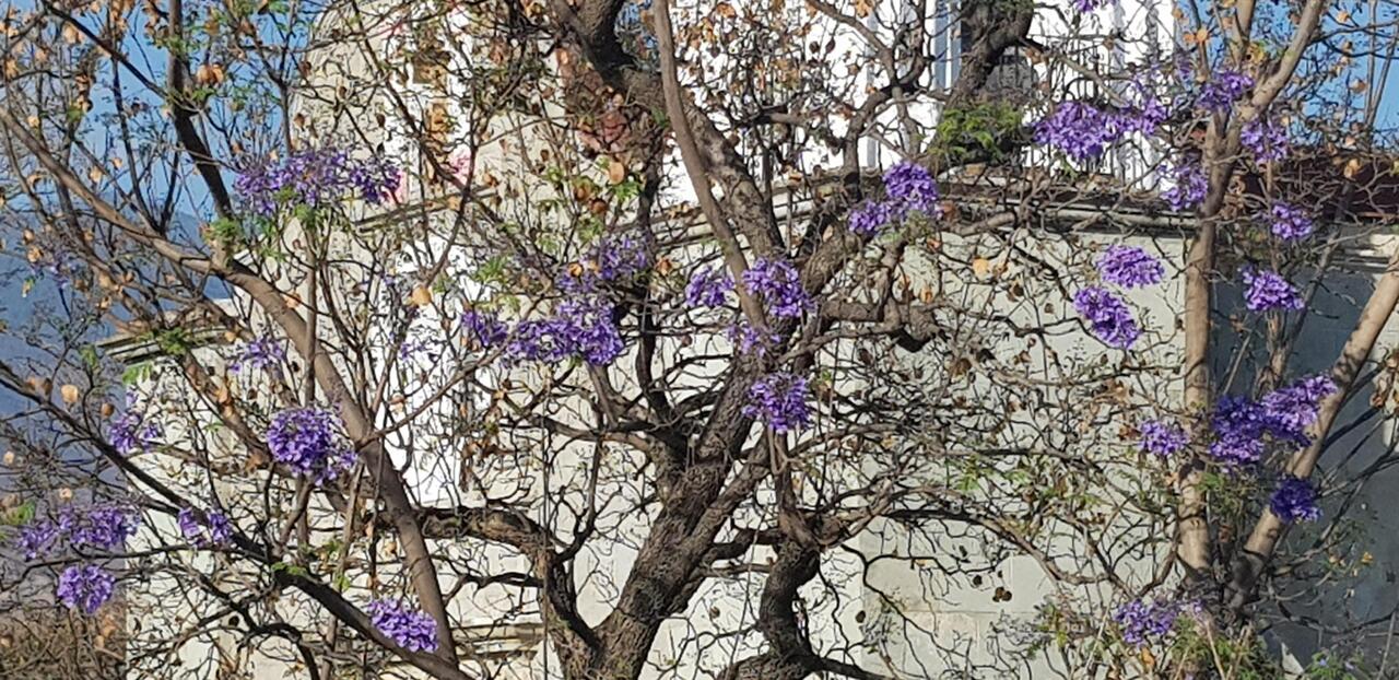 Frühling