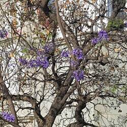 Frühling