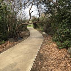 Hiking the Tel Dan nature reserve