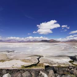 Laguna Salar de Talar