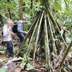 Wanderer mit Wanderpalme