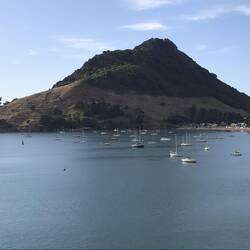 Bay of Plenty