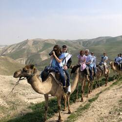 the spectacular riverbed of Wadi Kelt, the place where Abraham chose to settle