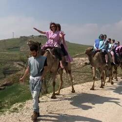 Camel trek in Judean dessert