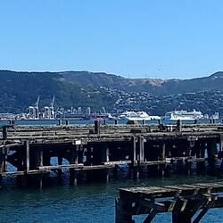 Wellington in the distance