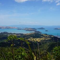 Lookout Coromandel