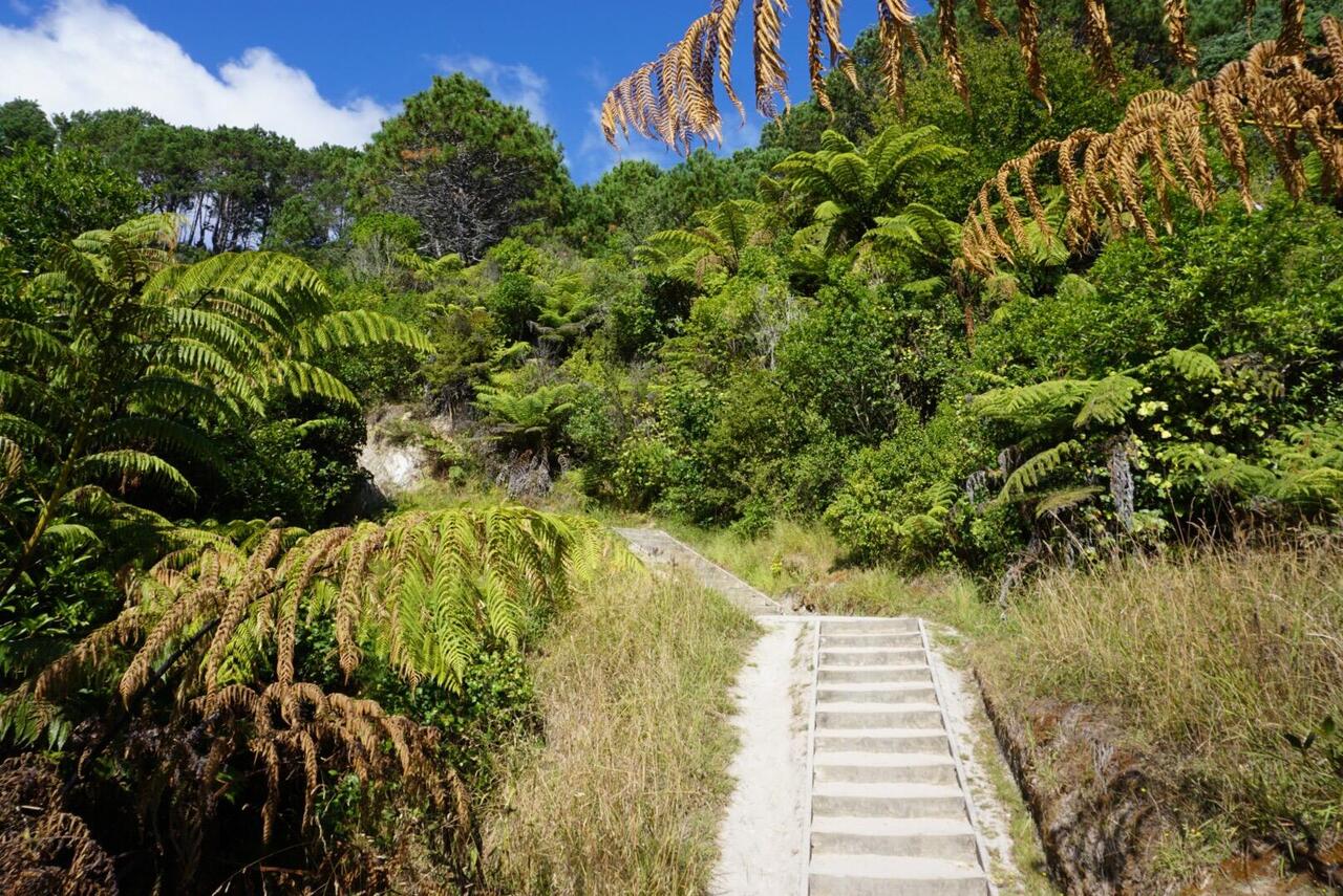 Wanderung zum Cathedral Cove