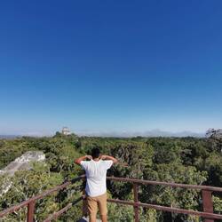 Verschwitzter rücken...