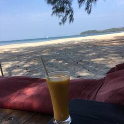 Mangolassi