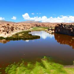 Die Laguna Negra ist etwas versteckt und versprüht deshalb Oasen-Charme