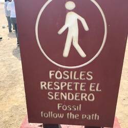 Circular path leads to different fossil areas.