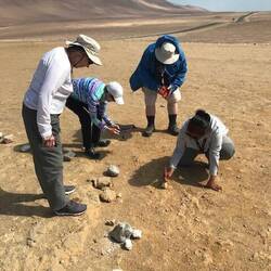 Showing us how to find fossils.