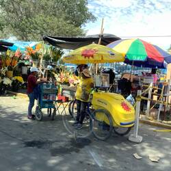 Selling flowers and Helado at market