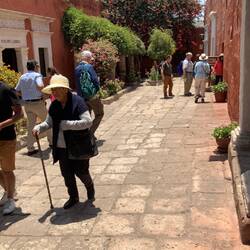 Many streets in convent.