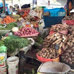 They have 3,000 diferent kinds of potatoes in Peru.