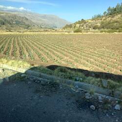 On the way to see the Condors.