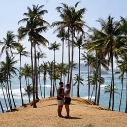 Coconut Tree Hill