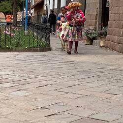 Colourfull photo opportunities, on the cheap!.
