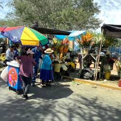 Flower vendors everywhere.