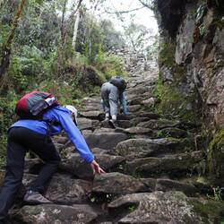 Too steep for poles. Hands and knees only!
