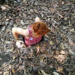 Ohne Kraft, hat man beim Aussteigen ein Problem🤣