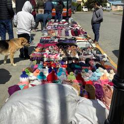 Don about to buy a sweater with a Llama design.