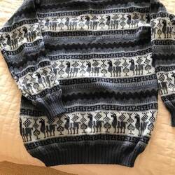 Don's new sweater with Llamas design..