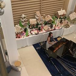 First Christmas decorations as Pianist plays in the Atrium.