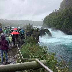 Petrohue Falls.Getting wet from the rain and from the spray.