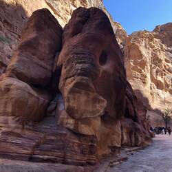 Elefish- there are decorations all over the Siq