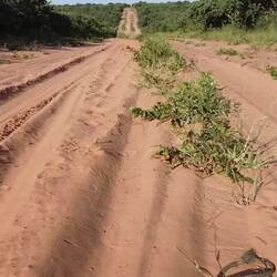 thx to Felix and Craig!