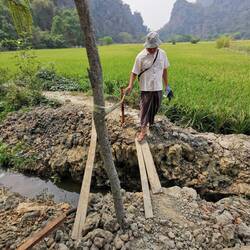 Steg in den Reisfeldern